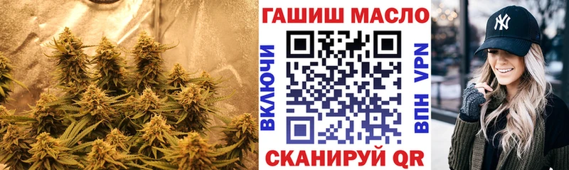 Купить  Изобильный  ТГК концентрат 