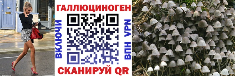 Купить закладки  Изобильный  Галлюциногенные грибы Psilocybe 